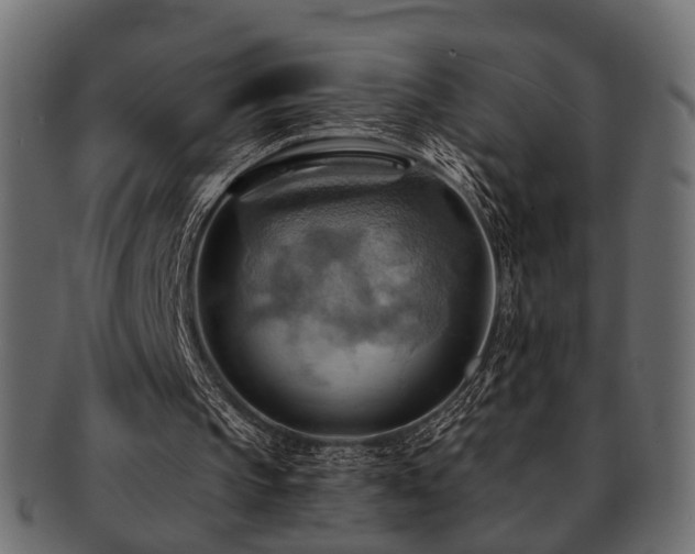 X0000093220145200709261638