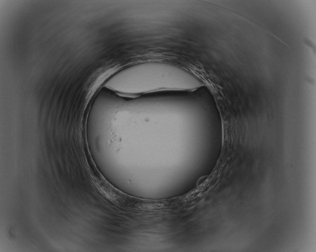 X0000093220147200709261638