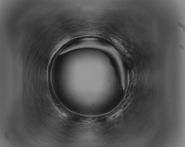 X0000093220148200709261638