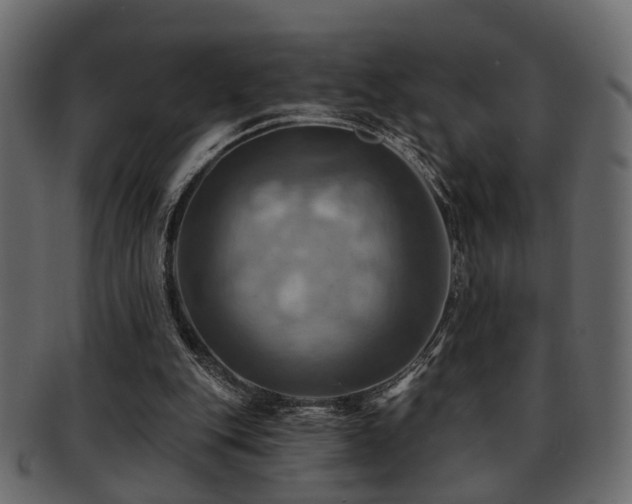 X0000093220151200709261638