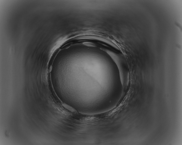 X0000093220152200709261638