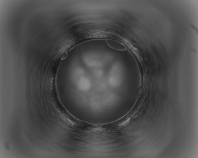 X0000093220153200709261638