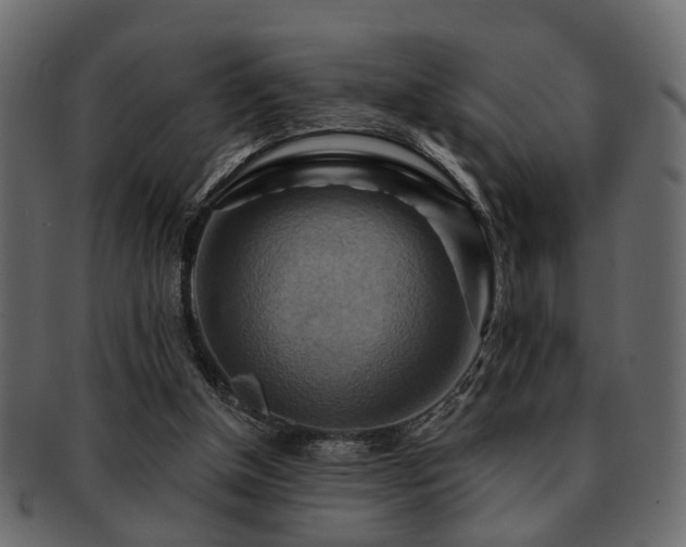 X0000093220154200709261638
