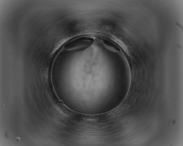 X0000093220155200709261638