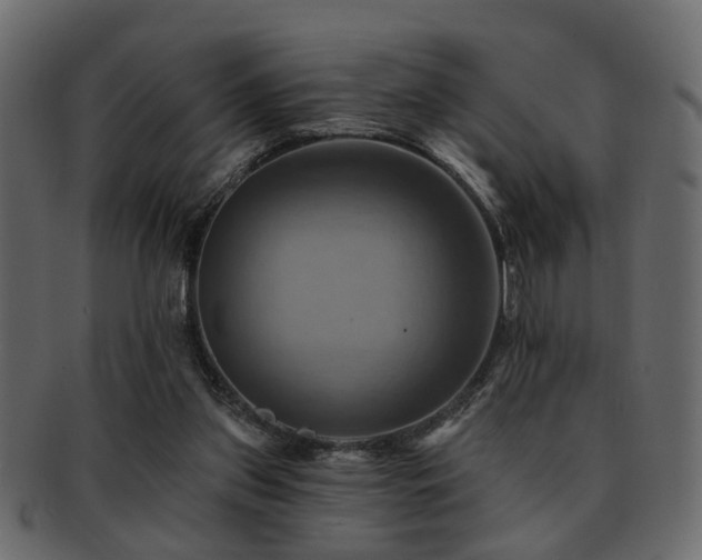 X0000093220157200709261638