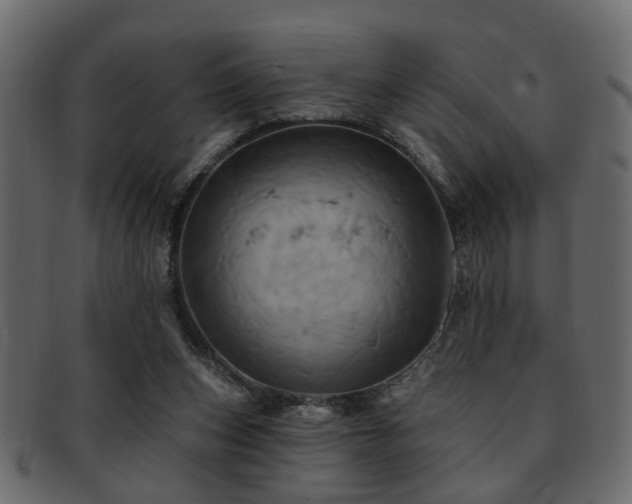 X0000093220159200709261638