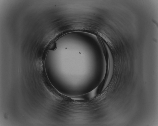 X0000093220160200709261638