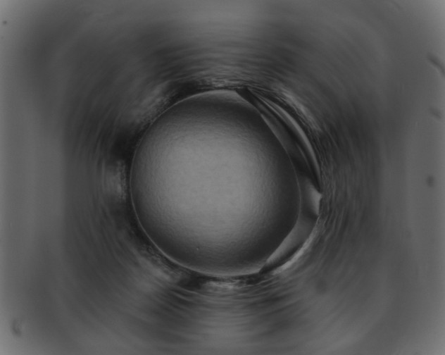 X0000093220170200709261639