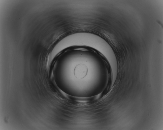 X0000093220172200709261639