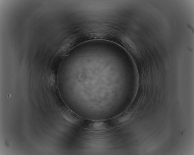 X0000093220173200709261639