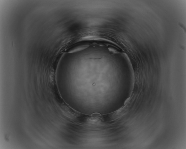 X0000093220175200709261639