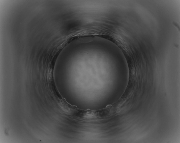 X0000093220177200709261639