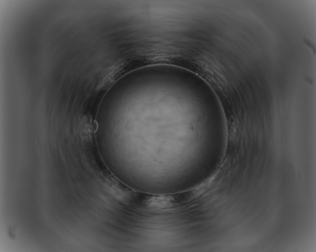 X0000093220179200709261639