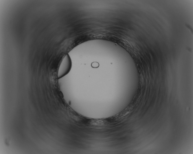 X0000093220181200709261639