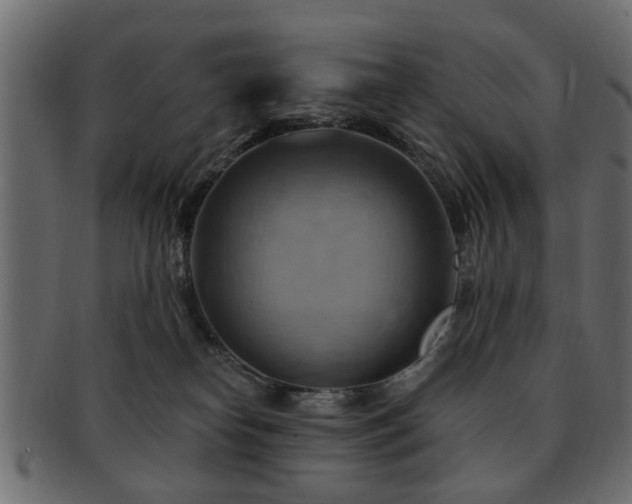 X0000093220182200709261639