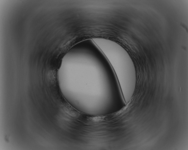 X0000093220184200709261639