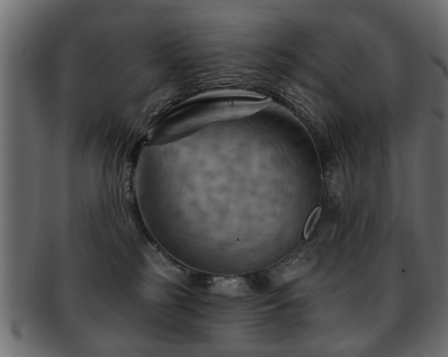 X0000093220185200709261639