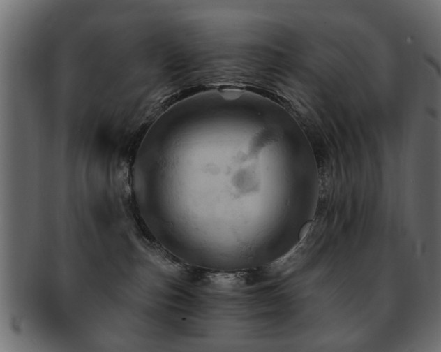 X0000093220187200709261639