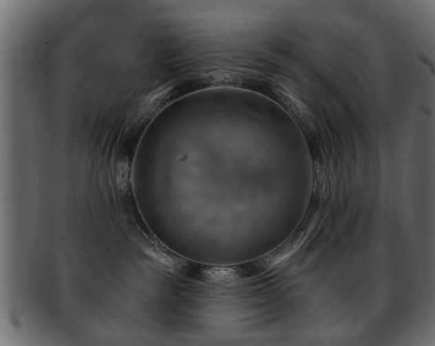 X0000093220189200709261639