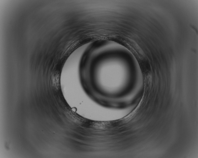 X0000093220190200709261639