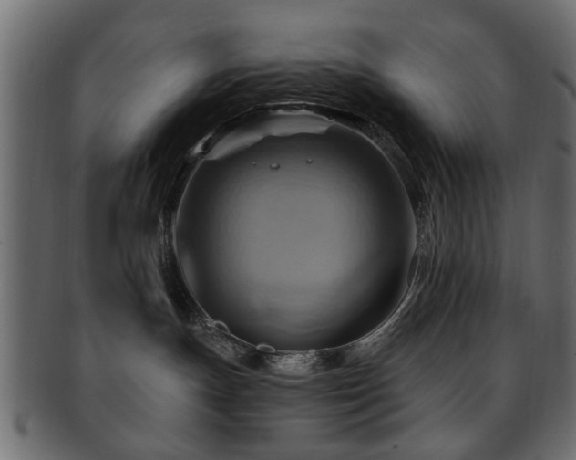 X0000093220191200709261639