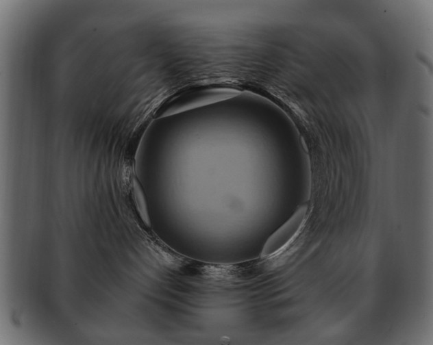 X0000093220192200709261639