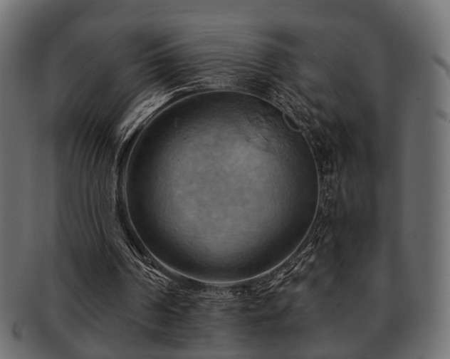 X0000093220194200709261638