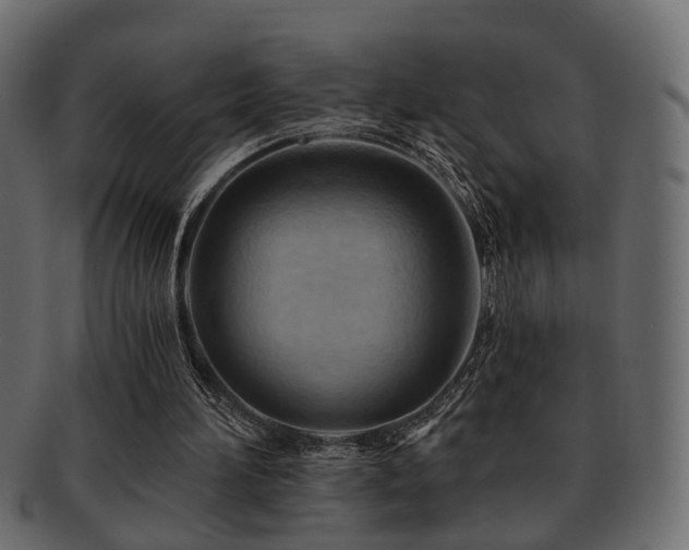 X0000093220196200709261638