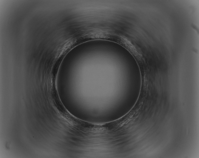 X0000093220202200709261638