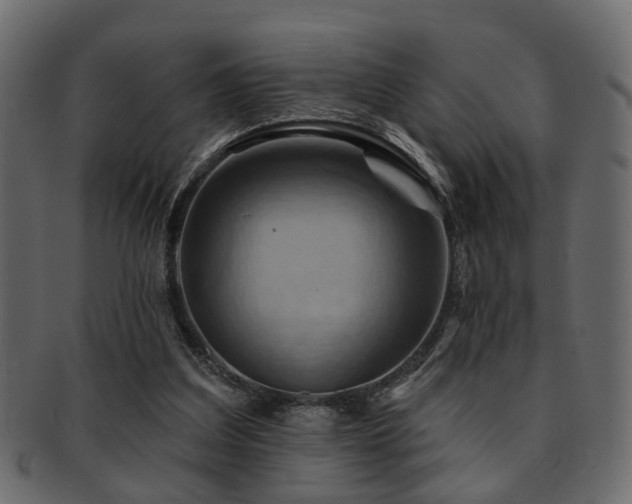 X0000093220203200709261638