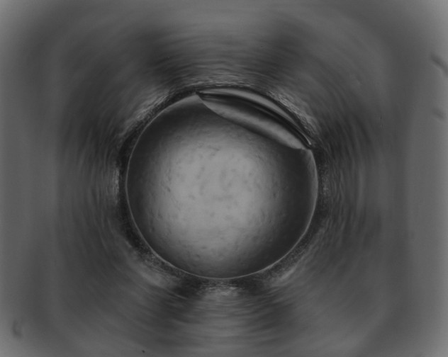 X0000093220206200709261638