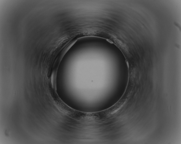 X0000093220209200709261638