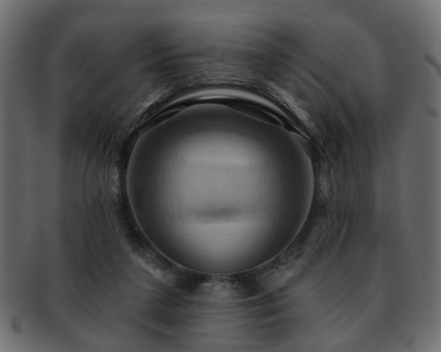 X0000093220211200709261638