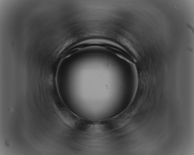 X0000093220212200709261638