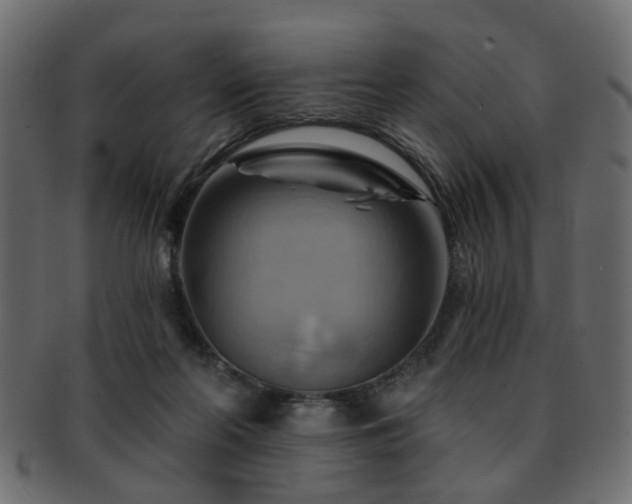 X0000093220214200709261638