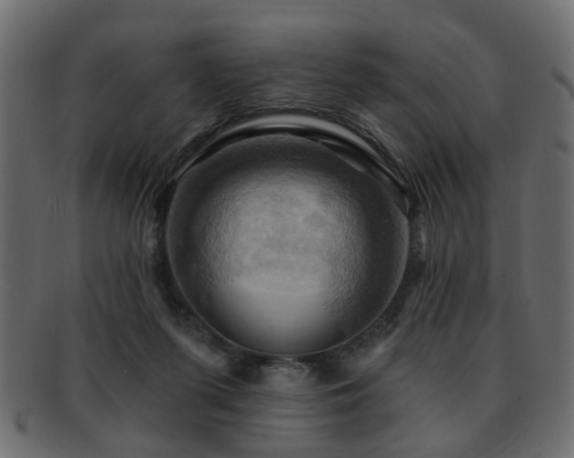 X0000093220215200709261638