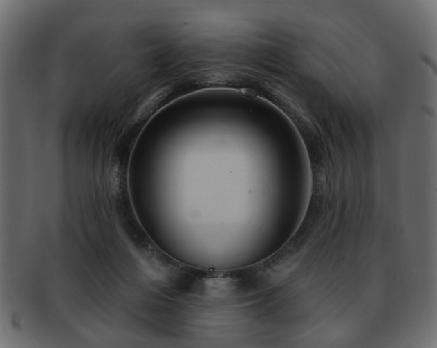 X0000093220216200709261638