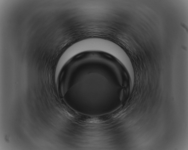 X0000093220219200709261638