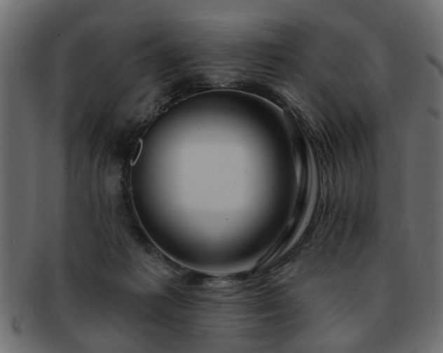 X0000093220221200709261638
