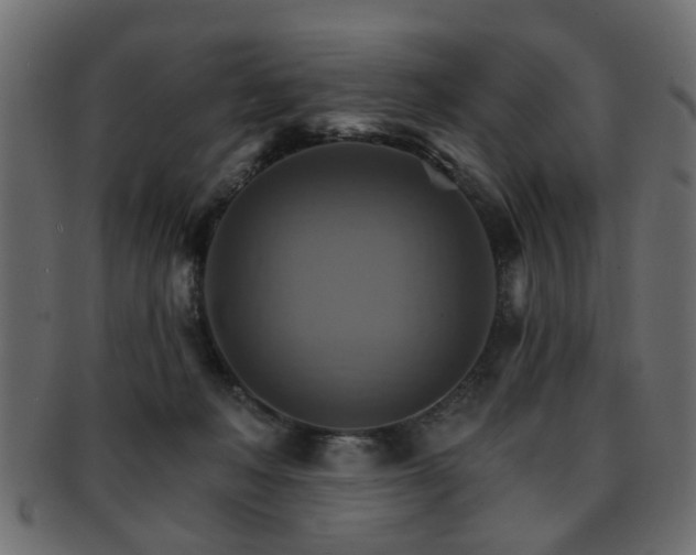 X0000093220222200709261638
