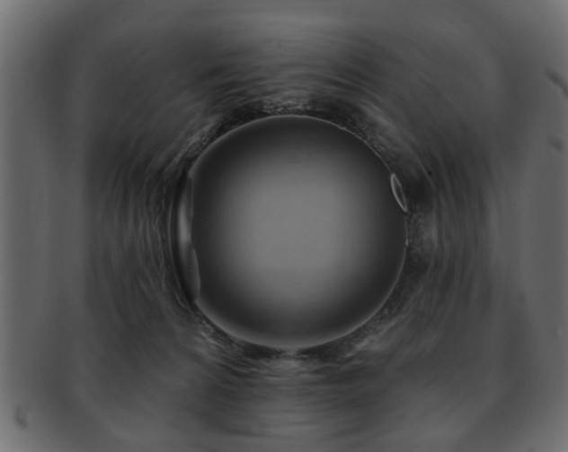 X0000093220224200709261638