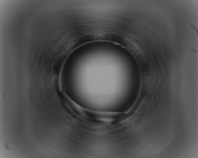 X0000093220225200709261638