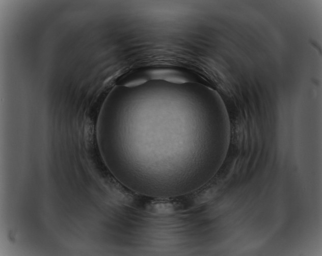 X0000093220228200709261638