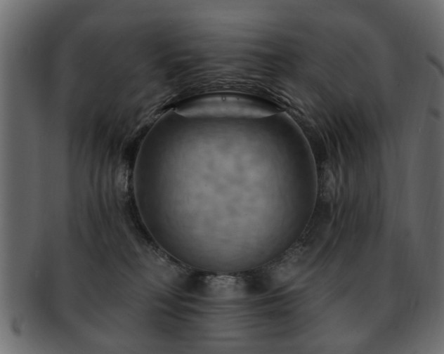 X0000093220230200709261638