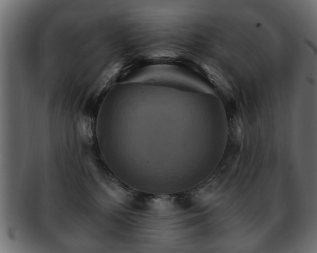 X0000093220232200709261638