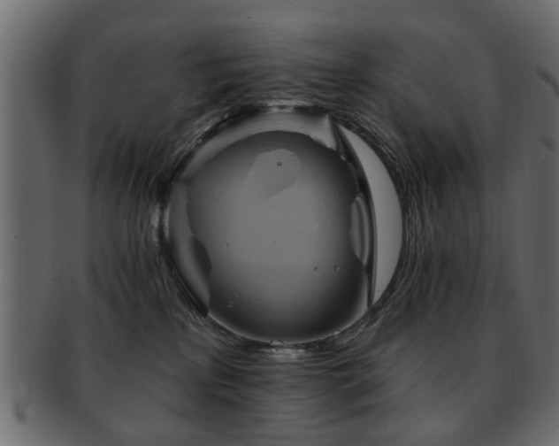 X0000093220233200709261638