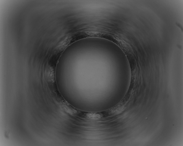 X0000093220234200709261638
