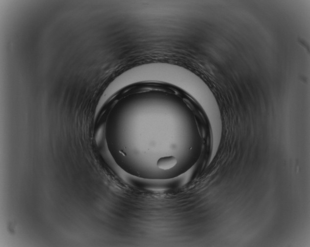 X0000093220235200709261638
