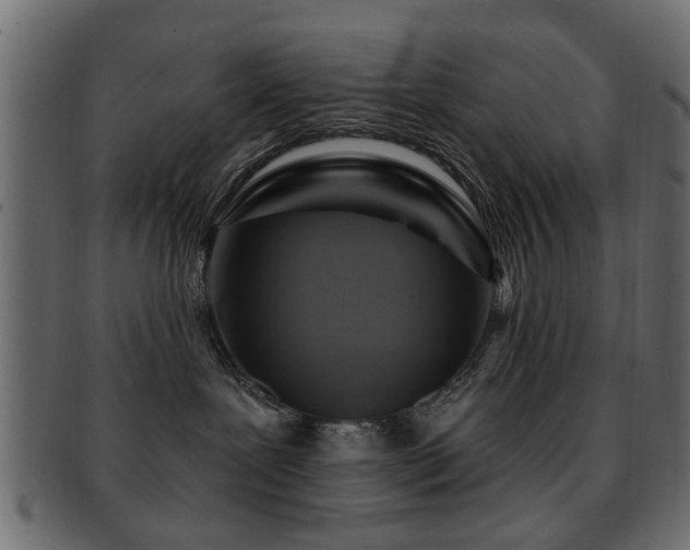 X0000093220239200709261638