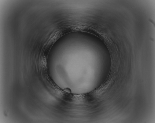 X0000093220240200709261638